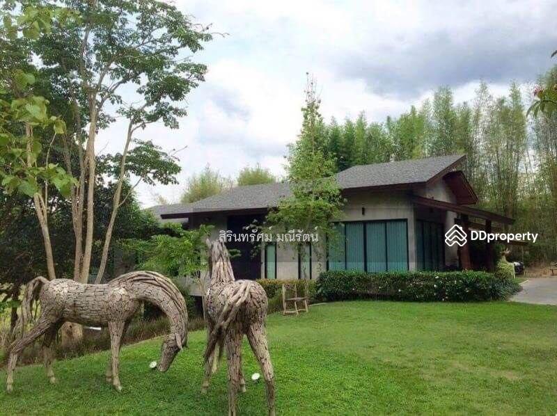 ให้เช่า - บ้านสวนพร้อมสระว่ายน้ำส่วนตัวสไตล์โมเดิร์นลอฟ, เชียงใหม่