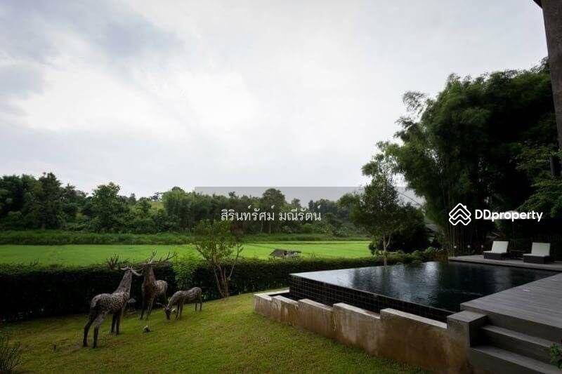 ให้เช่า - บ้านสวนพร้อมสระว่ายน้ำส่วนตัวสไตล์โมเดิร์นลอฟ, เชียงใหม่