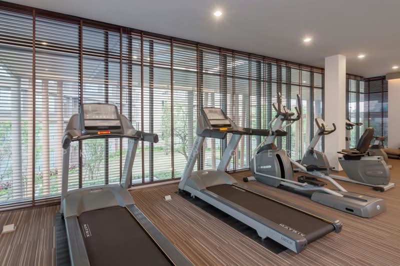 ให้เช่า - Dcondo Creek Phuket : ดีคอนโด ครีก ภูเก็ต, ภูเก็ต