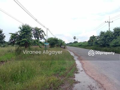 ขาย - ขายท่ีดิน เส้น บายพาส สีคิ้ว, นครราชสีมา