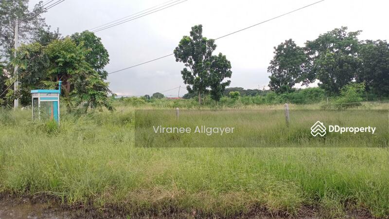 ขาย - ขายท่ีดิน เส้น บายพาส สีคิ้ว, นครราชสีมา