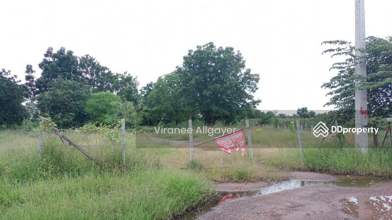 ขาย - ขายท่ีดิน เส้น บายพาส สีคิ้ว, นครราชสีมา