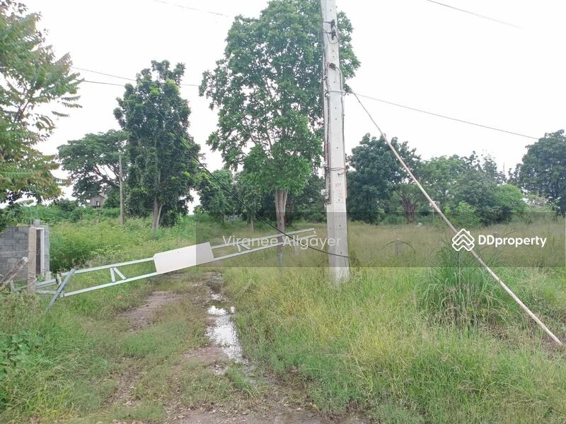 ขาย - ขายท่ีดิน เส้น บายพาส สีคิ้ว, นครราชสีมา