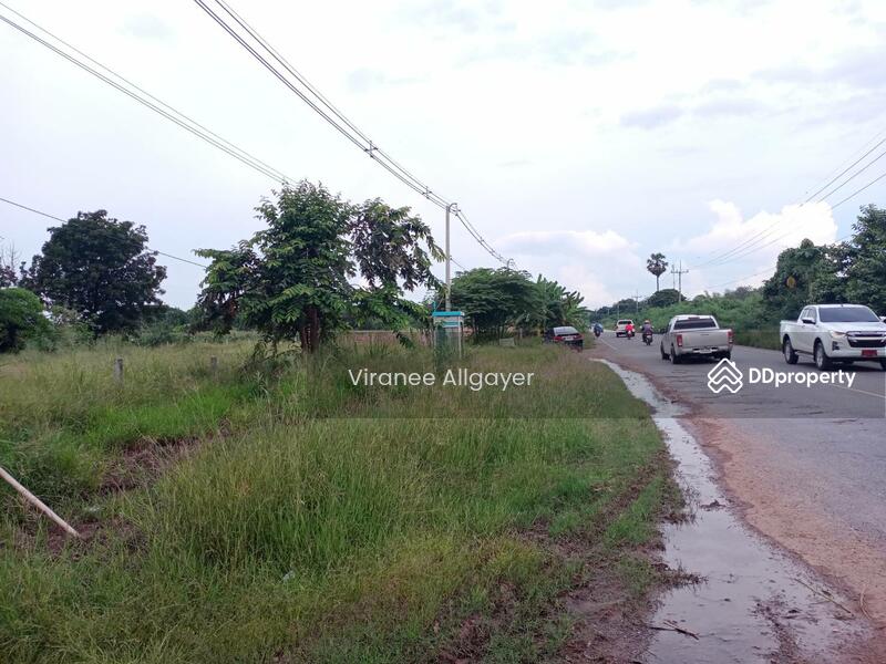 ขายท่ีดิน เส้น บายพาส สีคิ้ว, Nakhon Ratchasima, Si Khiu, Sikhiu, Nakhon Ratchasima, , 8,800 sqm, Land For Sale, by วิรณี, 8348301 - DDproperty.com