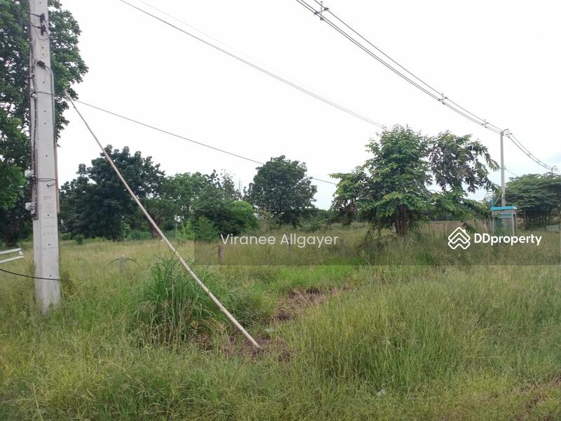 ขายท่ีดิน เส้น บายพาส สีคิ้ว, Nakhon Ratchasima, Si Khiu, Sikhiu, Nakhon Ratchasima, , 8,800 sqm, Land For Sale, by วิรณี, 8348301 - DDproperty.com