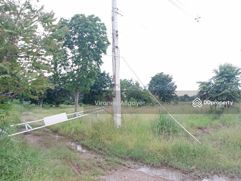 ขายท่ีดิน เส้น บายพาส สีคิ้ว, Nakhon Ratchasima, Si Khiu, Sikhiu, Nakhon Ratchasima, , 8,800 sqm, Land For Sale, by วิรณี, 8348301 - DDproperty.com