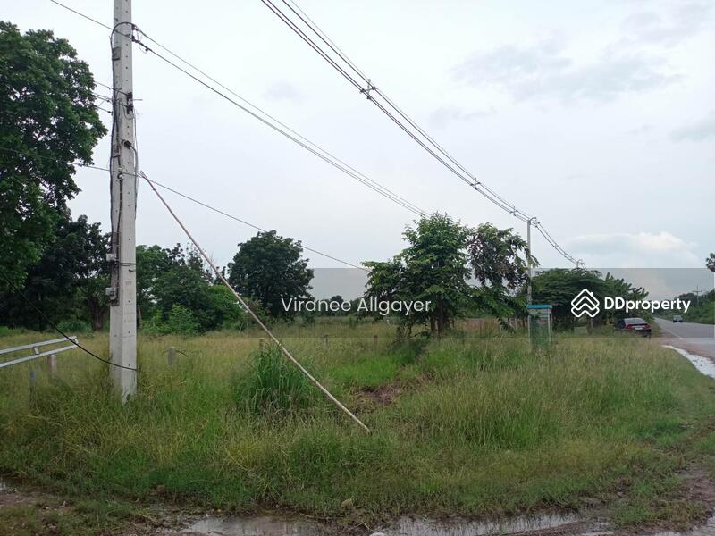 ขายท่ีดิน เส้น บายพาส สีคิ้ว, Nakhon Ratchasima, Si Khiu, Sikhiu, Nakhon Ratchasima, , 8,800 sqm, Land For Sale, by วิรณี, 8348301 - DDproperty.com