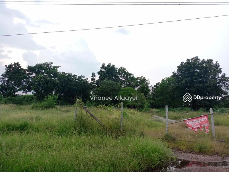 ขายท่ีดิน เส้น บายพาส สีคิ้ว, Nakhon Ratchasima, Si Khiu, Sikhiu, Nakhon Ratchasima, , 8,800 sqm, Land For Sale, by วิรณี, 8348301 - DDproperty.com