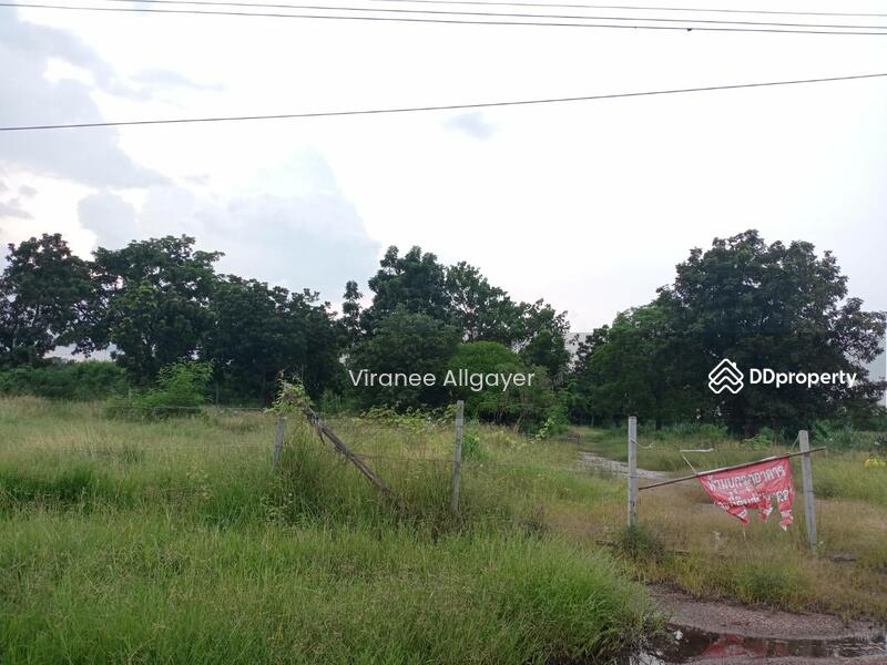 ขายท่ีดิน เส้น บายพาส สีคิ้ว, Nakhon Ratchasima, Si Khiu, Sikhiu, Nakhon Ratchasima, , 8,800 sqm, Land For Sale, by วิรณี, 8348301 - DDproperty.com