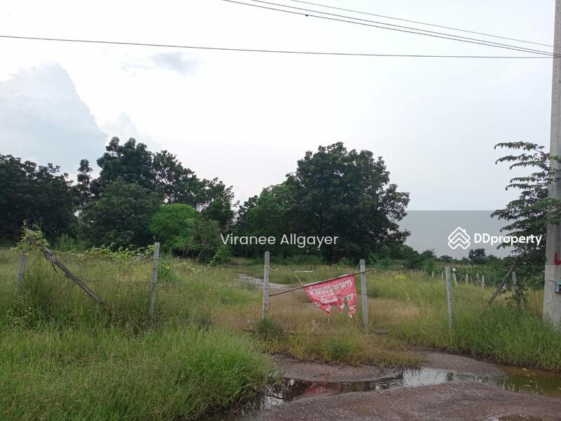 ขายท่ีดิน เส้น บายพาส สีคิ้ว, Nakhon Ratchasima, Si Khiu, Sikhiu, Nakhon Ratchasima, , 8,800 sqm, Land For Sale, by วิรณี, 8348301 - DDproperty.com