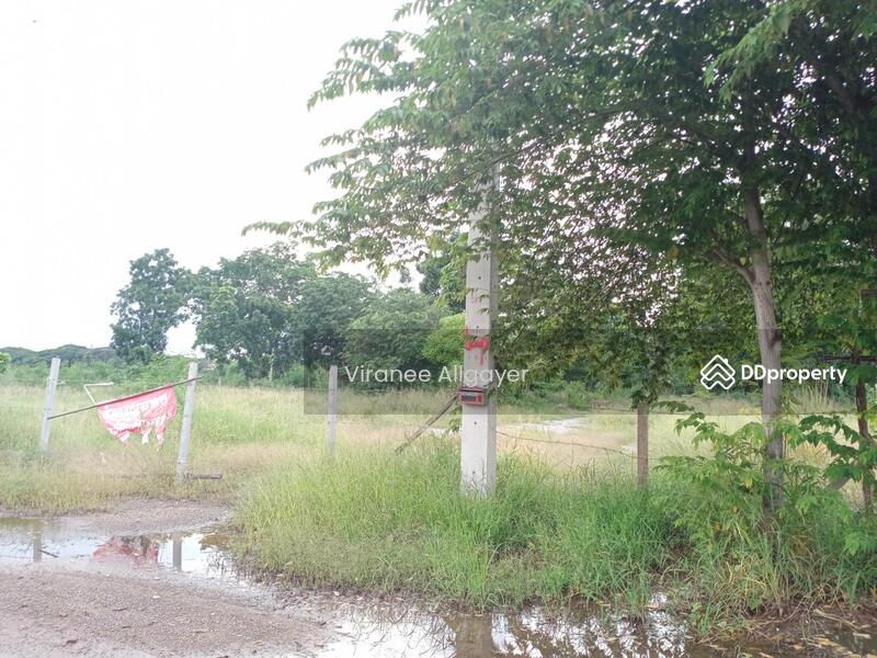 ขายท่ีดิน เส้น บายพาส สีคิ้ว, Nakhon Ratchasima, Si Khiu, Sikhiu, Nakhon Ratchasima, , 8,800 sqm, Land For Sale, by วิรณี, 8348301 - DDproperty.com