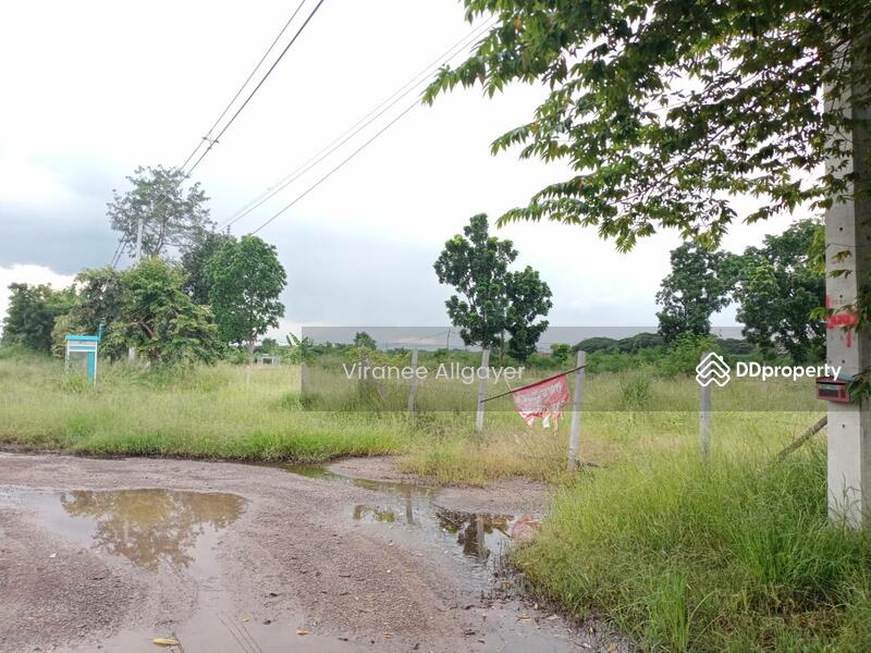ขายท่ีดิน เส้น บายพาส สีคิ้ว, Nakhon Ratchasima, Si Khiu, Sikhiu, Nakhon Ratchasima, , 8,800 sqm, Land For Sale, by วิรณี, 8348301 - DDproperty.com