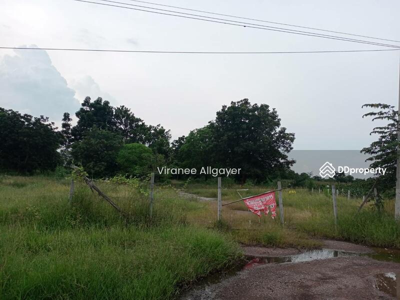 ขายท่ีดิน เส้น บายพาส สีคิ้ว, Nakhon Ratchasima, Si Khiu, Sikhiu, Nakhon Ratchasima, , 8,800 sqm, Land For Sale, by วิรณี, 8348301 - DDproperty.com