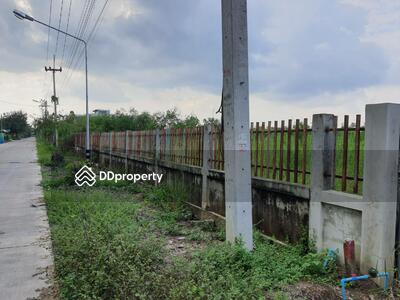 ขาย - ขาย2.5ไร่ที่ดินคลอง6, ปทุมธานี