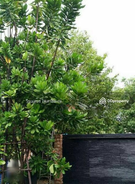 บ้านนาราสิริ วัชรพล-รามอินทรา (ใกล้จุดขึ้นลงทางด่วน 240 เมตร) 226 ตร.ว. 1,000 ตร.ม. 