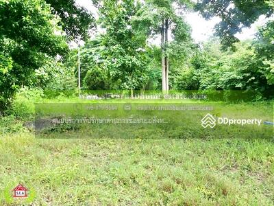 ขาย - ที่ดินมวกเหล็ก 261 ตารางวา โครงการมวกเหล็กปาร์ควิว ปากช่อง นครราชสีมา, นครราชสีมา