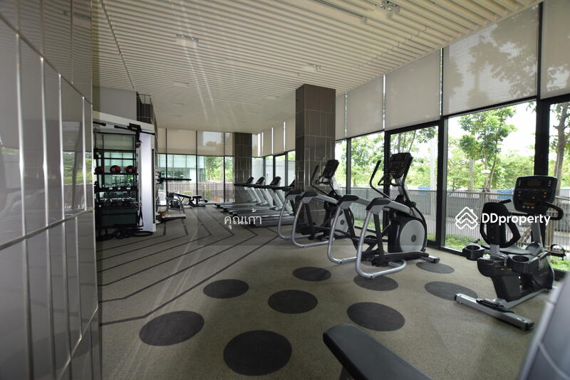 Aspen Condo Lasalle, Bangkok, Soi Sukhumvit 105 (Lasalle), Bang Na, Bangkok, 1 Bedroom, 35 sqm, Condo For Sale, by คุณเก้า, 8388583 - DDproperty.com