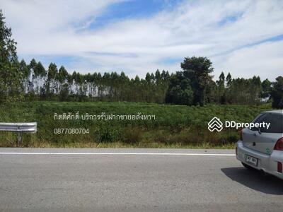 ขาย - ที่ดิน, ชลบุรี