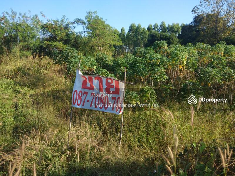 ขาย - ที่ดิน, ชลบุรี