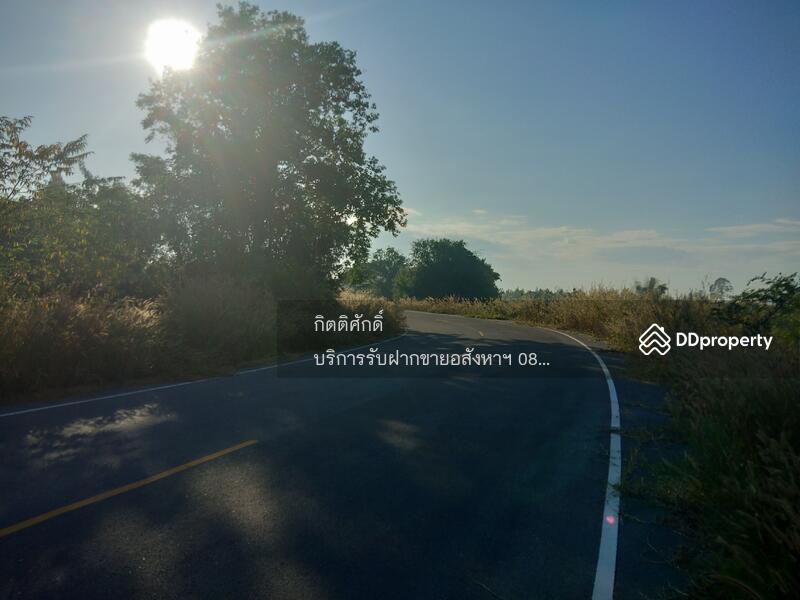 ขาย - ที่ดิน, ชลบุรี