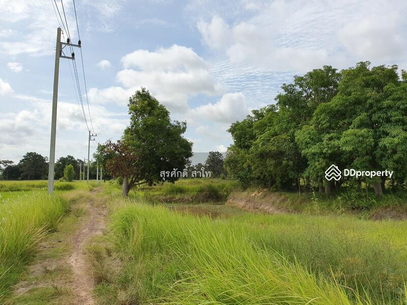 For Sale - Rice farm land @Warin Chamrap 13-3-67 rais Urgent Sale 4.5 Million Baht., Ubon Ratchathani