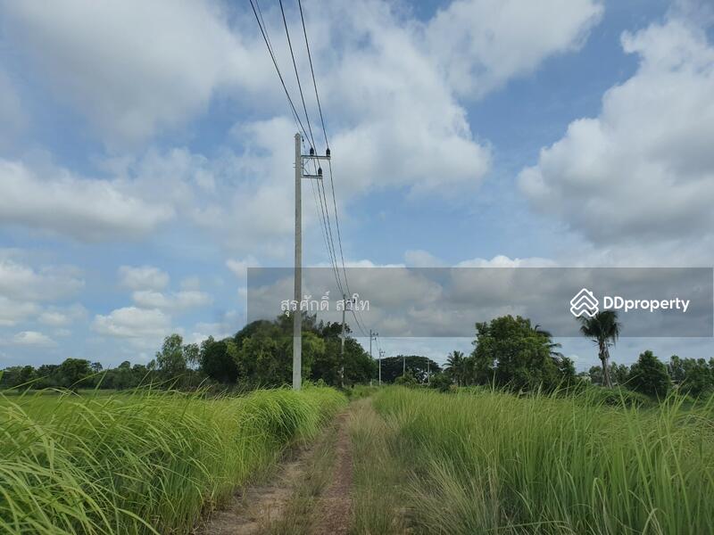 For Sale - Rice farm land @Warin Chamrap 13-3-67 rais Urgent Sale 4.5 Million Baht., Ubon Ratchathani