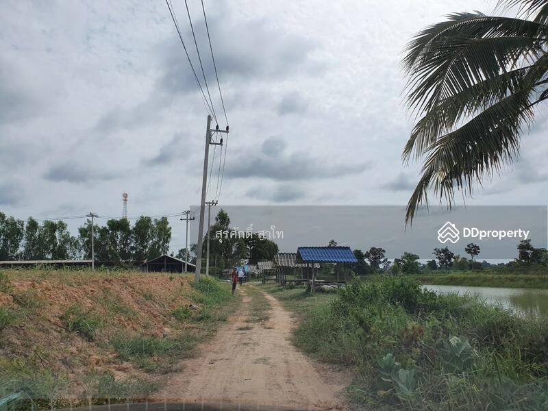 For Sale - Rice farm land @Warin Chamrap 13-3-67 rais Urgent Sale 4.5 Million Baht., Ubon Ratchathani