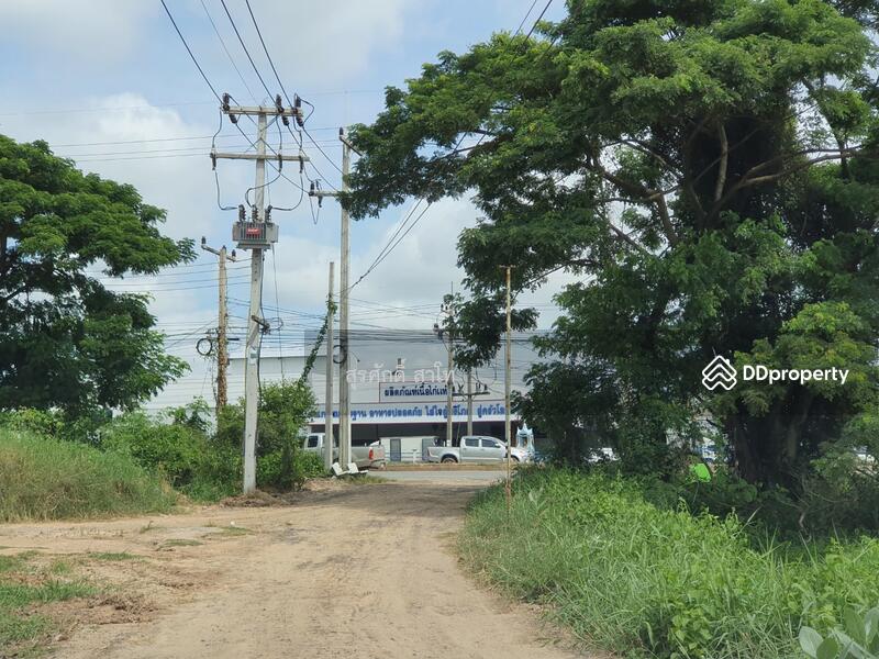 For Sale - Rice farm land @Warin Chamrap 13-3-67 rais Urgent Sale 4.5 Million Baht., Ubon Ratchathani