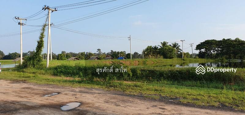 For Sale - Rice farm land @Warin Chamrap 13-3-67 rais Urgent Sale 4.5 Million Baht., Ubon Ratchathani