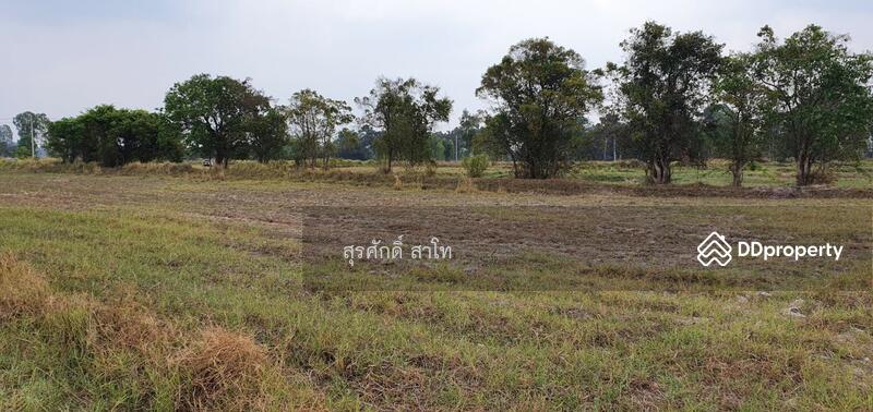 For Sale - Rice farm land @Warin Chamrap 13-3-67 rais Urgent Sale 4.5 Million Baht., Ubon Ratchathani