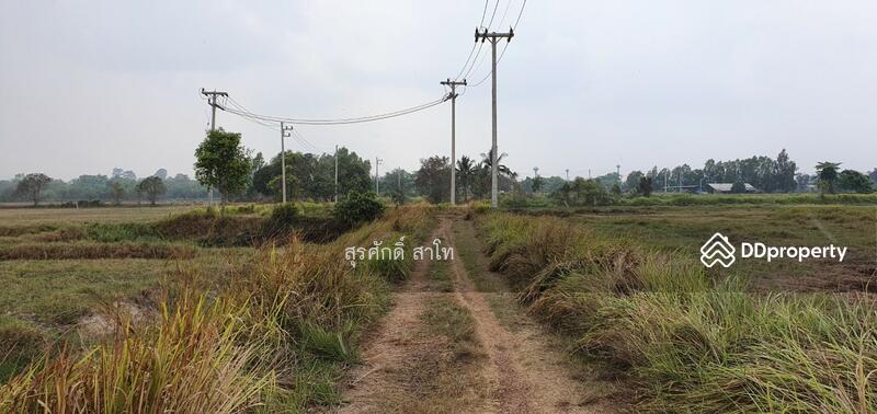 For Sale - Rice farm land @Warin Chamrap 13-3-67 rais Urgent Sale 4.5 Million Baht., Ubon Ratchathani