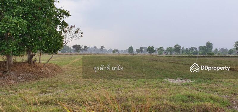 For Sale - Rice farm land @Warin Chamrap 13-3-67 rais Urgent Sale 4.5 Million Baht., Ubon Ratchathani
