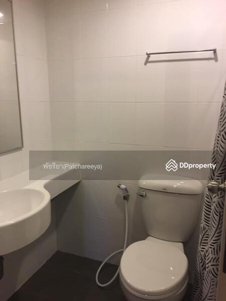 Seksual xola jinsiy aloqa