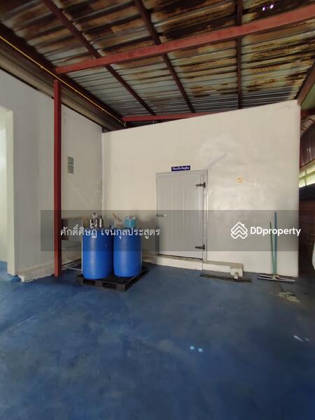 ขาย ให้เช่า โกดัง Park Factory 5 พร้อมออฟฟิศ และห้องเย็น @ดอนไก่ดี (DB1) สมุทรสาคร, Samut Sakhon, กระทุ่มแบน, Don Ki Di, Krathum Baen, Samut Sakhon, , 1,050 sqm, Retail Space For Sale, by ศักดิ์ศิษฎ์ เจนกุลประสูตร, 8450885 - DDproperty.com