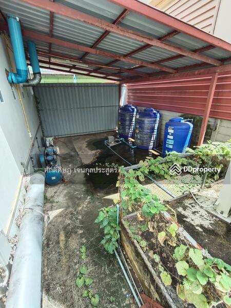 ขาย ให้เช่า โกดัง Park Factory 5 พร้อมออฟฟิศ และห้องเย็น @ดอนไก่ดี (DB1) สมุทรสาคร, สมุทรสาคร, กระทุ่มแบน, ดอนไก่ดี, กระทุ่มแบน, สมุทรสาคร, 1,050 ตร.ม., พื้นที่ขายของ ขาย, โดย ศักดิ์ศิษฎ์ เจนกุลประสูตร, 8450885 - DDproperty.com