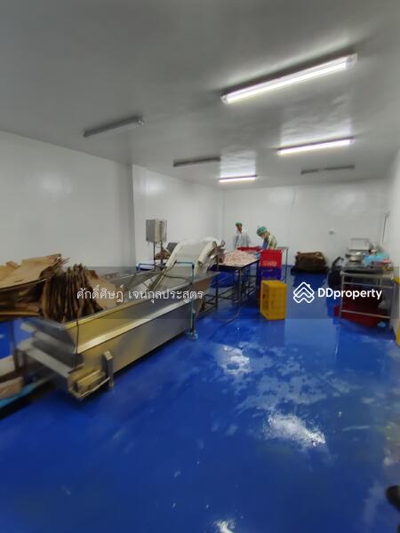 ขาย ให้เช่า โกดัง Park Factory 5 พร้อมออฟฟิศ และห้องเย็น @ดอนไก่ดี (DB1) สมุทรสาคร, สมุทรสาคร, กระทุ่มแบน, ดอนไก่ดี, กระทุ่มแบน, สมุทรสาคร, 1,050 ตร.ม., พื้นที่ขายของ ขาย, โดย ศักดิ์ศิษฎ์ เจนกุลประสูตร, 8450885 - DDproperty.com