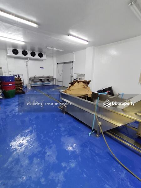 ขาย ให้เช่า โกดัง Park Factory 5 พร้อมออฟฟิศ และห้องเย็น @ดอนไก่ดี (DB1) สมุทรสาคร, สมุทรสาคร, กระทุ่มแบน, ดอนไก่ดี, กระทุ่มแบน, สมุทรสาคร, 1,050 ตร.ม., พื้นที่ขายของ ขาย, โดย ศักดิ์ศิษฎ์ เจนกุลประสูตร, 8450885 - DDproperty.com
