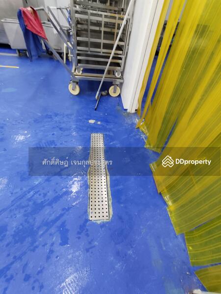 ขาย ให้เช่า โกดัง Park Factory 5 พร้อมออฟฟิศ และห้องเย็น @ดอนไก่ดี (DB1) สมุทรสาคร, Samut Sakhon, กระทุ่มแบน, Don Ki Di, Krathum Baen, Samut Sakhon, , 1,050 sqm, Retail Space For Sale, by ศักดิ์ศิษฎ์ เจนกุลประสูตร, 8450885 - DDproperty.com