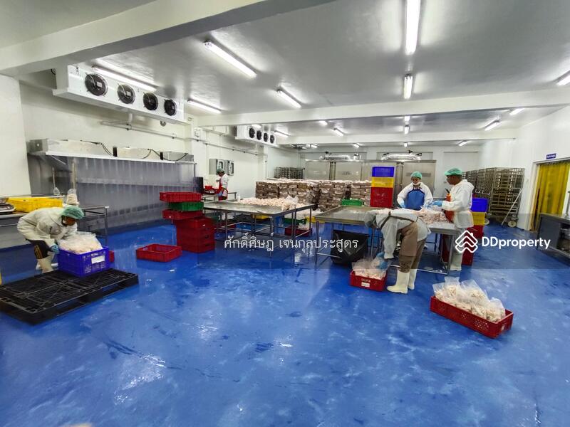 ขาย ให้เช่า โกดัง Park Factory 5 พร้อมออฟฟิศ และห้องเย็น @ดอนไก่ดี (DB1) สมุทรสาคร, Samut Sakhon, กระทุ่มแบน, Don Ki Di, Krathum Baen, Samut Sakhon, , 1,050 sqm, Retail Space For Sale, by ศักดิ์ศิษฎ์ เจนกุลประสูตร, 8450885 - DDproperty.com