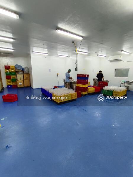 ขาย ให้เช่า โกดัง Park Factory 5 พร้อมออฟฟิศ และห้องเย็น @ดอนไก่ดี (DB1) สมุทรสาคร, สมุทรสาคร, กระทุ่มแบน, ดอนไก่ดี, กระทุ่มแบน, สมุทรสาคร, 1,050 ตร.ม., พื้นที่ขายของ ขาย, โดย ศักดิ์ศิษฎ์ เจนกุลประสูตร, 8450885 - DDproperty.com