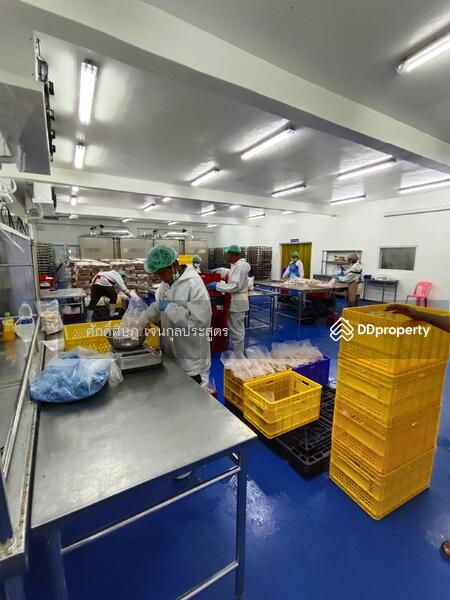 ขาย ให้เช่า โกดัง Park Factory 5 พร้อมออฟฟิศ และห้องเย็น @ดอนไก่ดี (DB1) สมุทรสาคร, สมุทรสาคร, กระทุ่มแบน, ดอนไก่ดี, กระทุ่มแบน, สมุทรสาคร, 1,050 ตร.ม., พื้นที่ขายของ ขาย, โดย ศักดิ์ศิษฎ์ เจนกุลประสูตร, 8450885 - DDproperty.com
