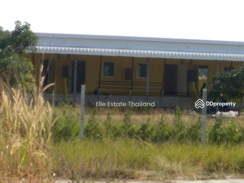 ขาย - ขายที่ดินเปล่า, นครราชสีมา