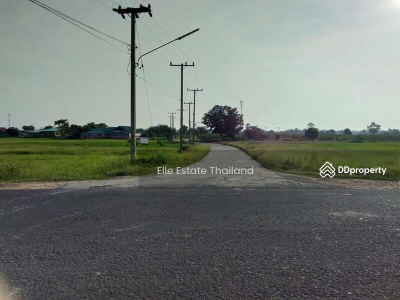 ขาย - ขายที่ดินเปล่า, นครราชสีมา