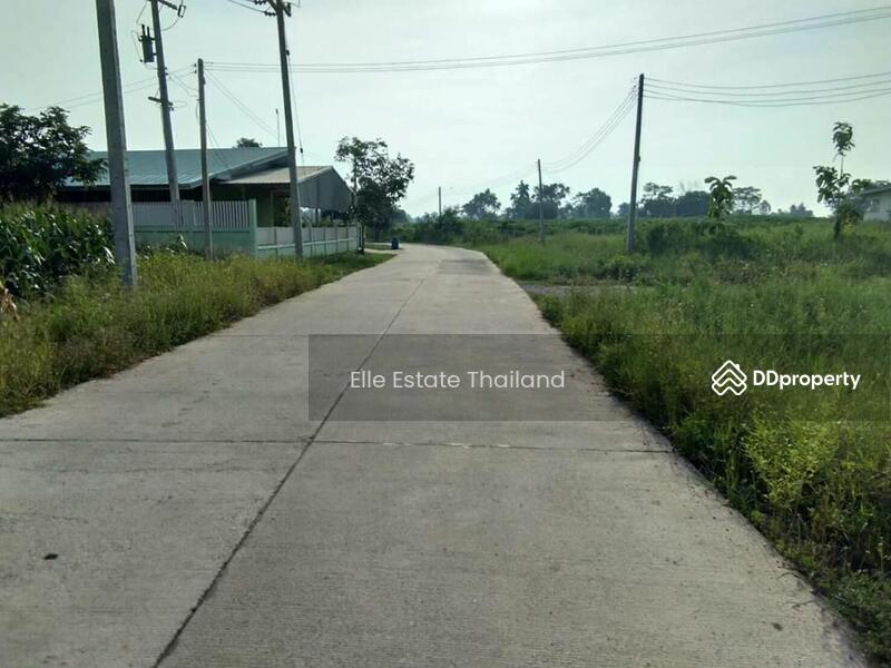 ขาย - ขายที่ดินเปล่า, นครราชสีมา