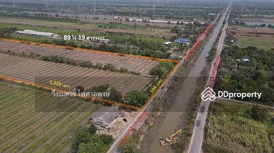 ขาย - ขาย ที่ดิน อ.หนองเสือ คลอง 11 ปทุมธานี เนื้อที่ 89 ไร่, ปทุมธานี