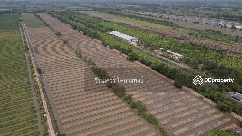  ขายถูกที่สุด!! ที่ดิน อ.หนองเสือ คลอง 11 ปทุมธานี (ผังสีชมพู—เหมาะสร้างโกดัง)