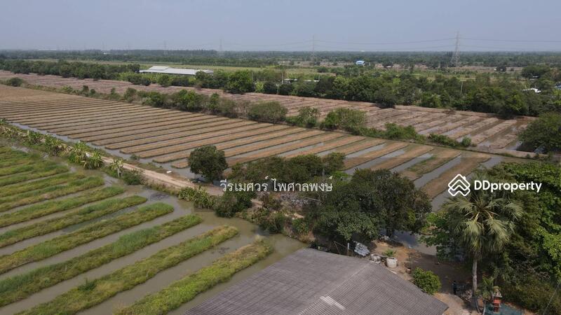  ขายถูกที่สุด!! ที่ดิน อ.หนองเสือ คลอง 11 ปทุมธานี (ผังสีชมพู—เหมาะสร้างโกดัง)
