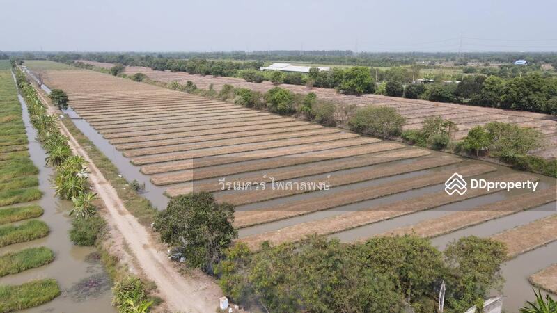  ขายถูกที่สุด!! ที่ดิน อ.หนองเสือ คลอง 11 ปทุมธานี (ผังสีชมพู—เหมาะสร้างโกดัง)