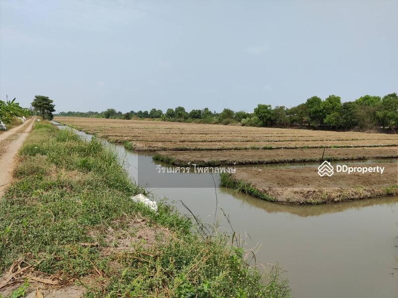  ขายถูกที่สุด!! ที่ดิน อ.หนองเสือ คลอง 11 ปทุมธานี (ผังสีชมพู—เหมาะสร้างโกดัง)