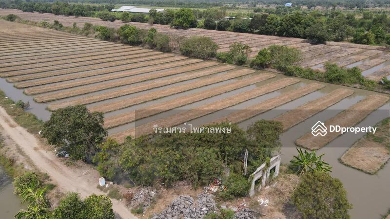 ขายถูกที่สุด!! ที่ดิน อ.หนองเสือ คลอง 11 ปทุมธานี (ผังสีชมพู—เหมาะสร้างโกดัง)